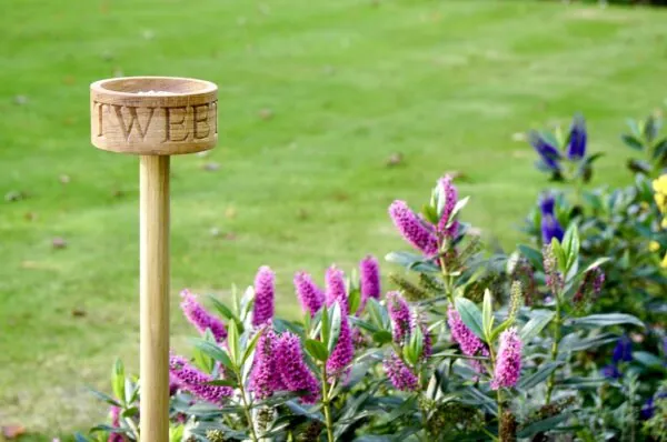 engraved-wooden-bird-feeder-uk