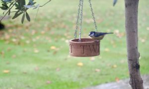 oak-bird-feeder