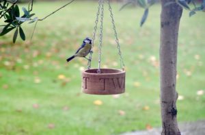 personalised-oak-bird-feeder-uk