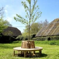 curved-tree-bench