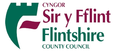Flintshire County Council Image