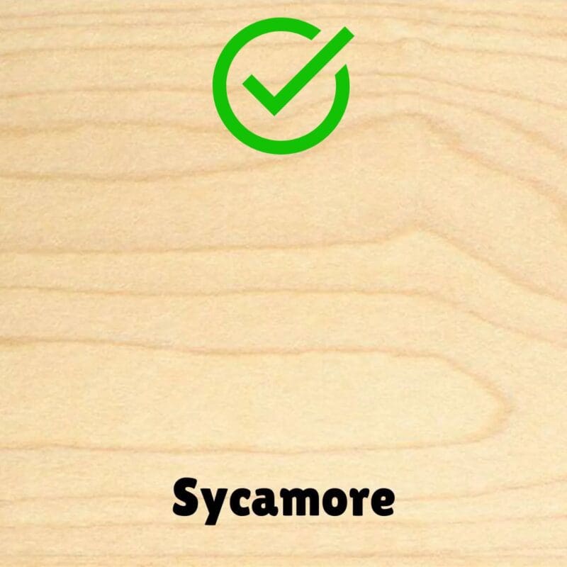 Sycamore